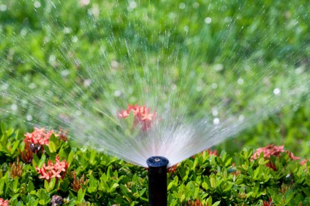 Houston Sprinkler and Irrigation